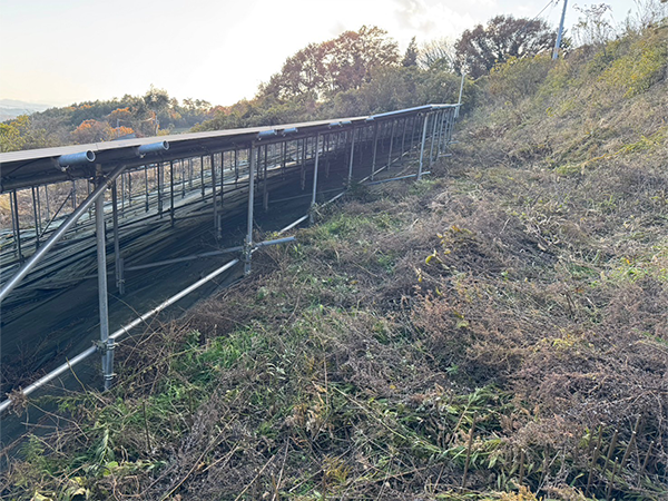 実績・評判口コミ画像01-岡山県　49.5kW　低圧